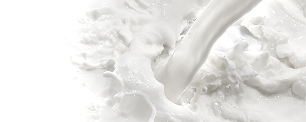 Government drawing action plan for more FDI in dairy