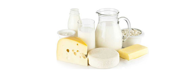 Dairy Product Manufacturing Mini-plant